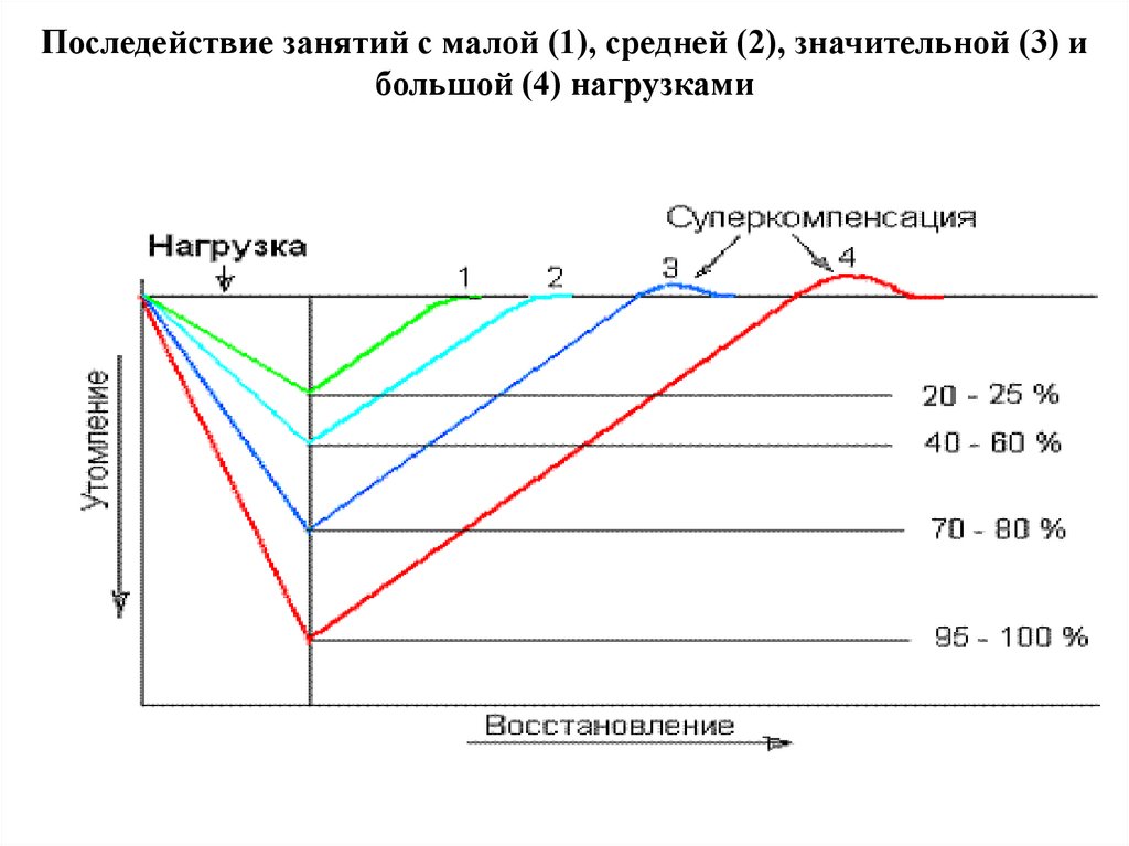 Последействие занятий с малой (1), средней (2), значительной (3) и большой (4) нагрузками