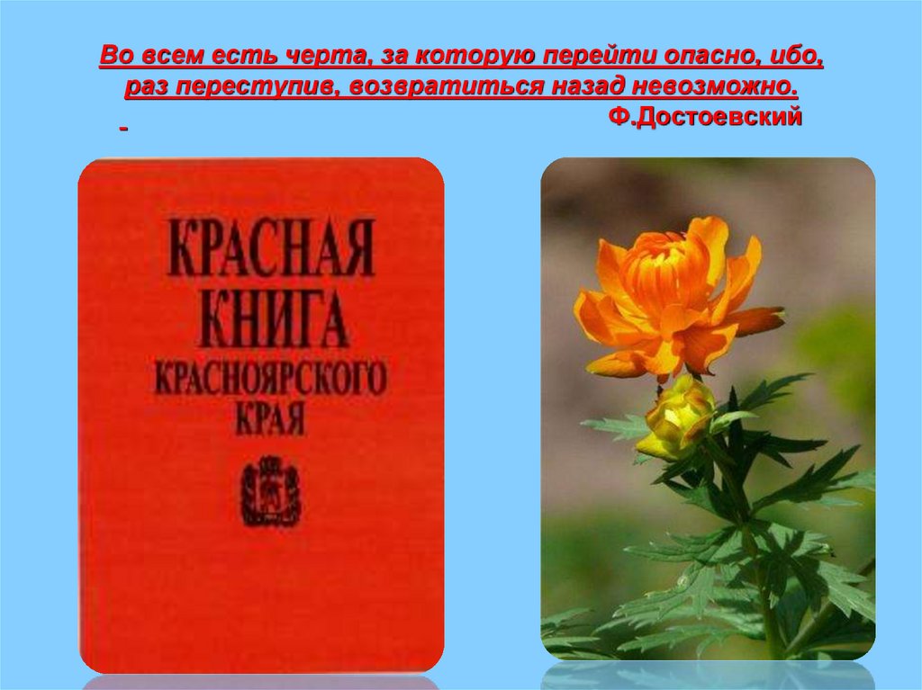 Во всем есть черта, за которую перейти опасно, ибо, раз переступив, возвратиться назад невозможно.