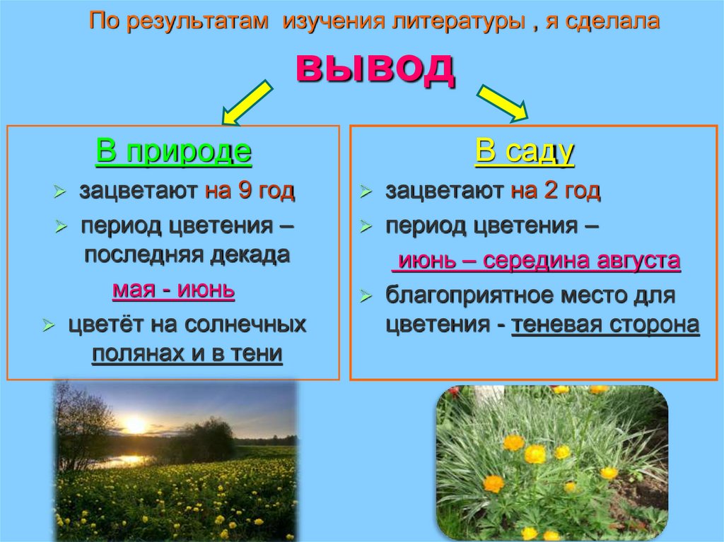 По результатам изучения литературы , я сделала вывод