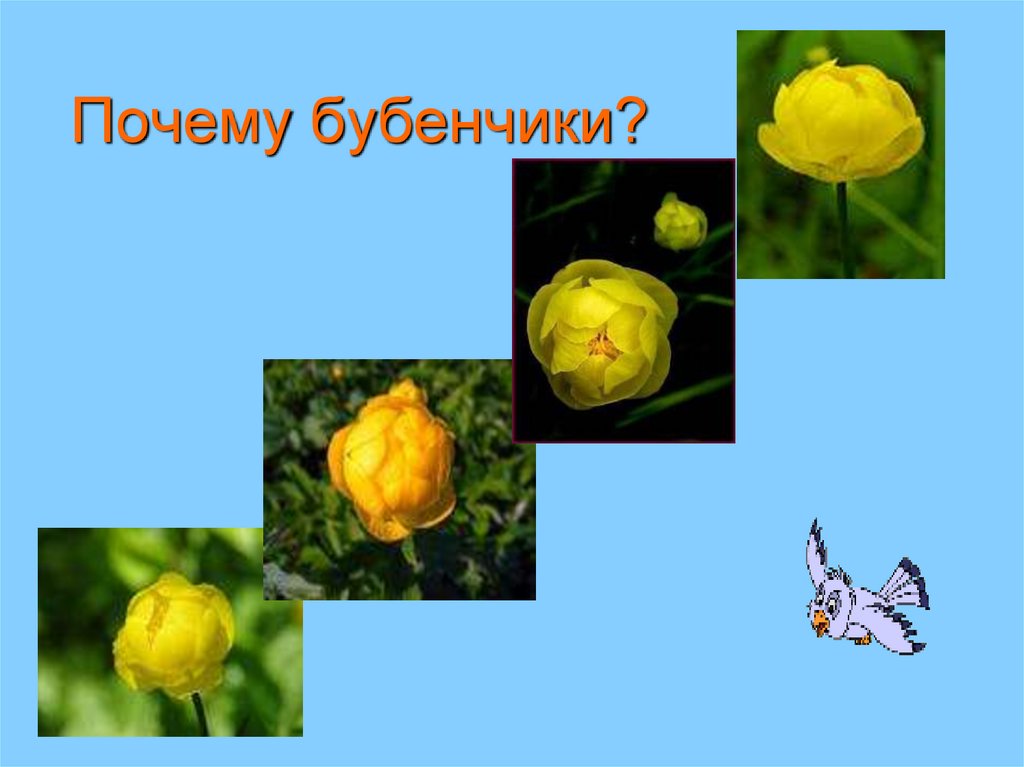 Почему бубенчики?