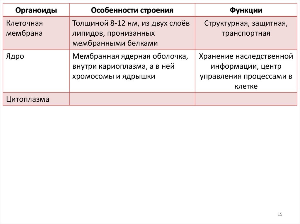 Клеточная мембрана