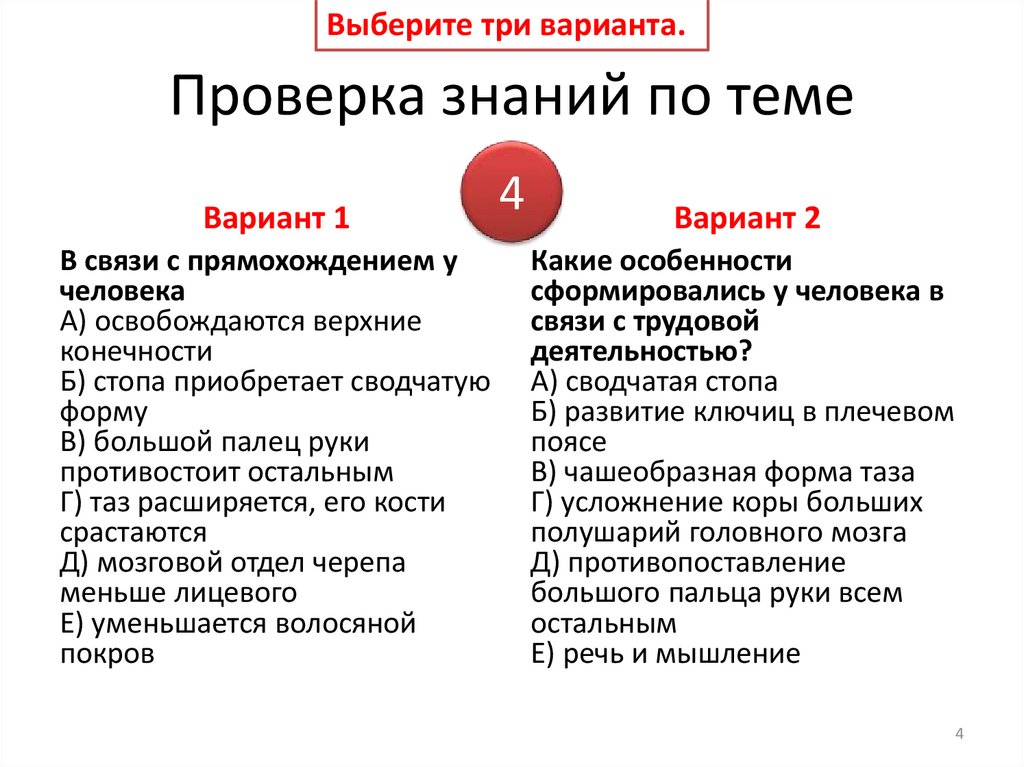 Проверка знаний по теме