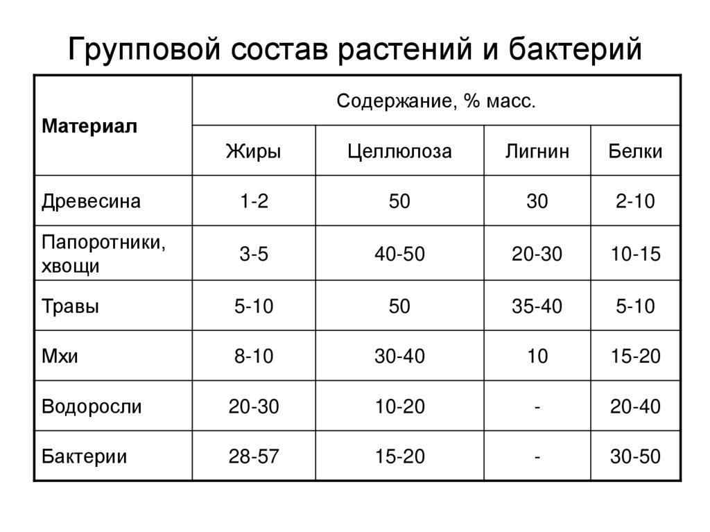 Групповой состав растений и бактерий