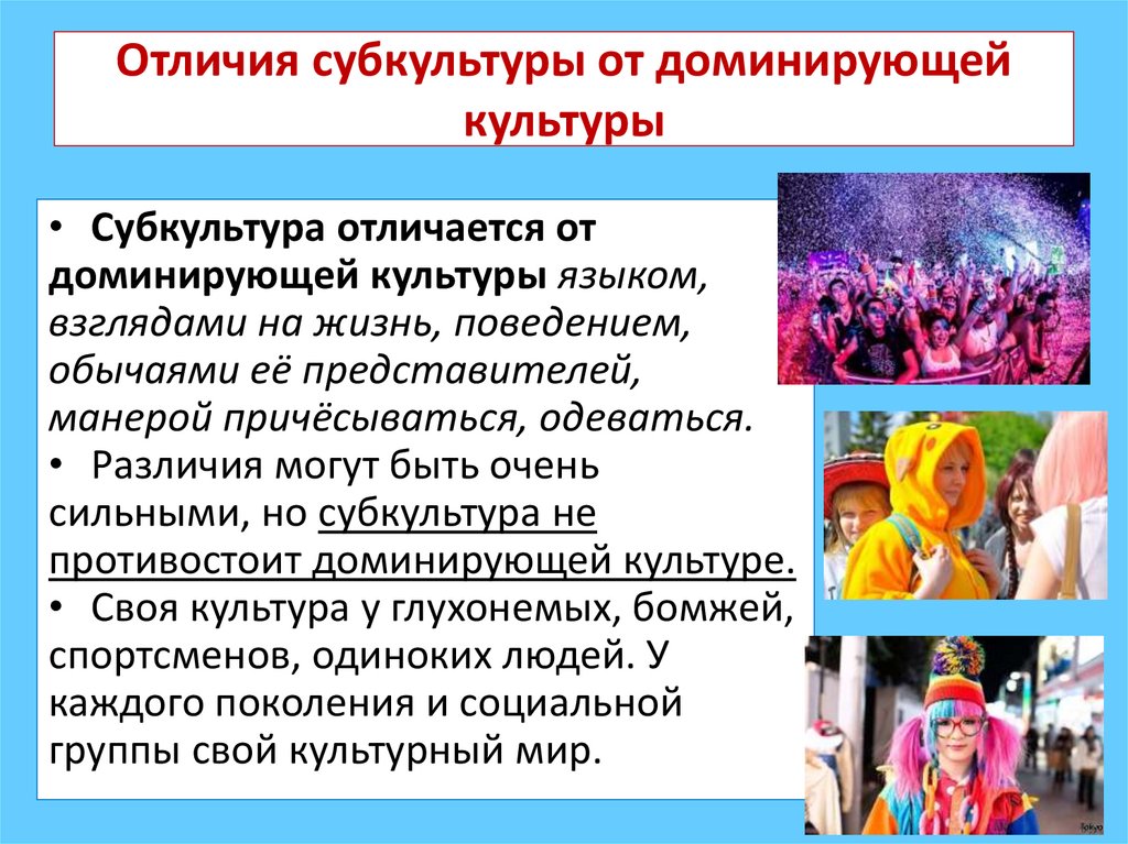 Отличия субкультуры от доминирующей культуры