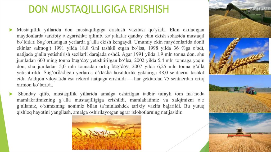 DON MUSTAQILLIGIGA ERISHISH
