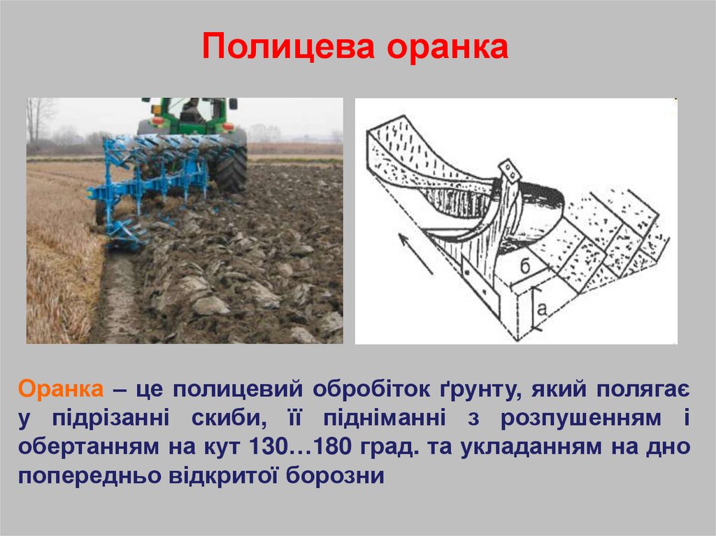 Полицева оранка