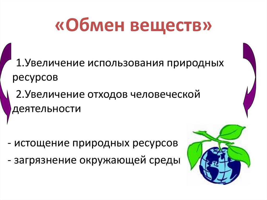 «Обмен веществ»