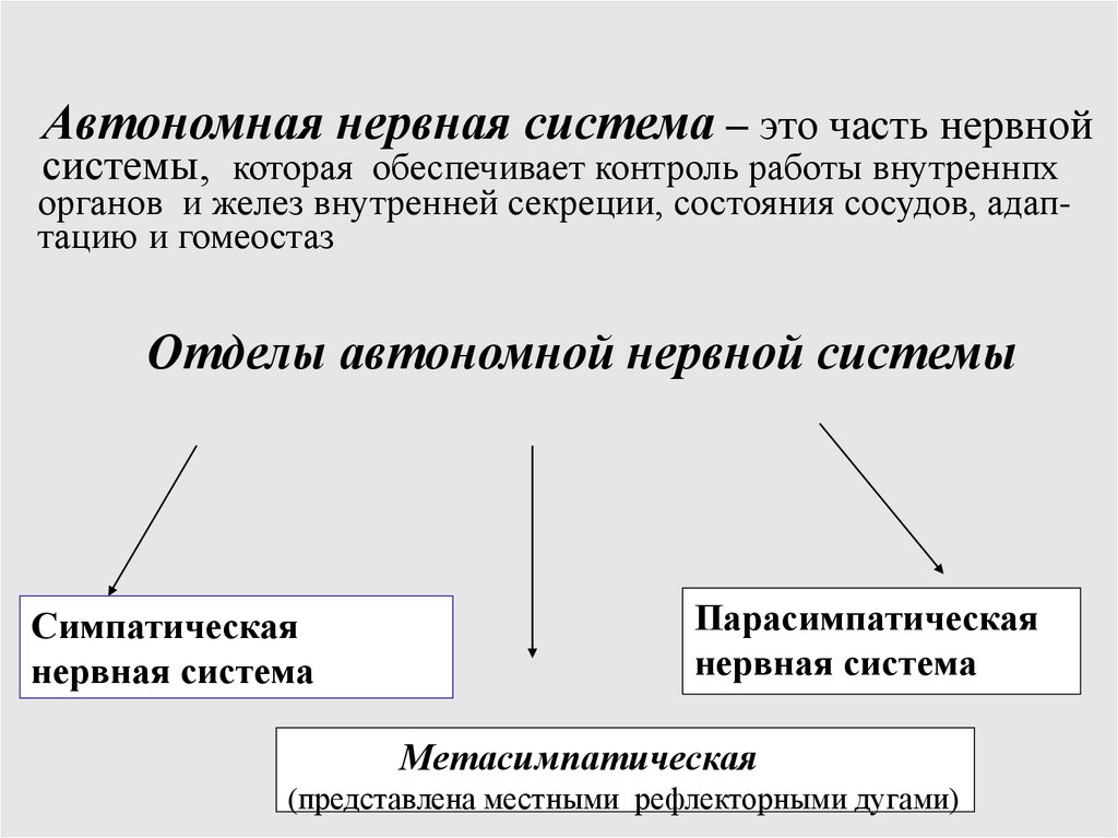 Автономная нервная система – это часть нервной системы, которая обеспечивает контроль работы внутреннпх органов и желез
