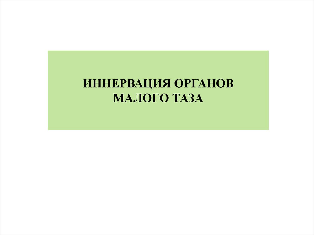 ИННЕРВАЦИЯ ОРГАНОВ МАЛОГО ТАЗА
