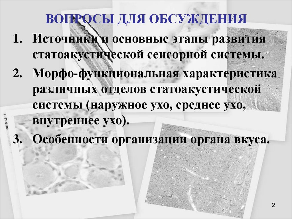 ВОПРОСЫ ДЛЯ ОБСУЖДЕНИЯ