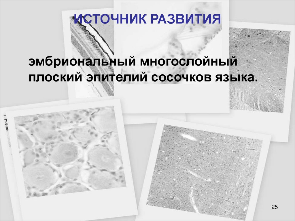 ИСТОЧНИК РАЗВИТИЯ