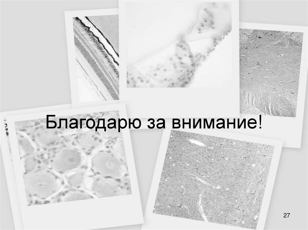 Благодарю за внимание!