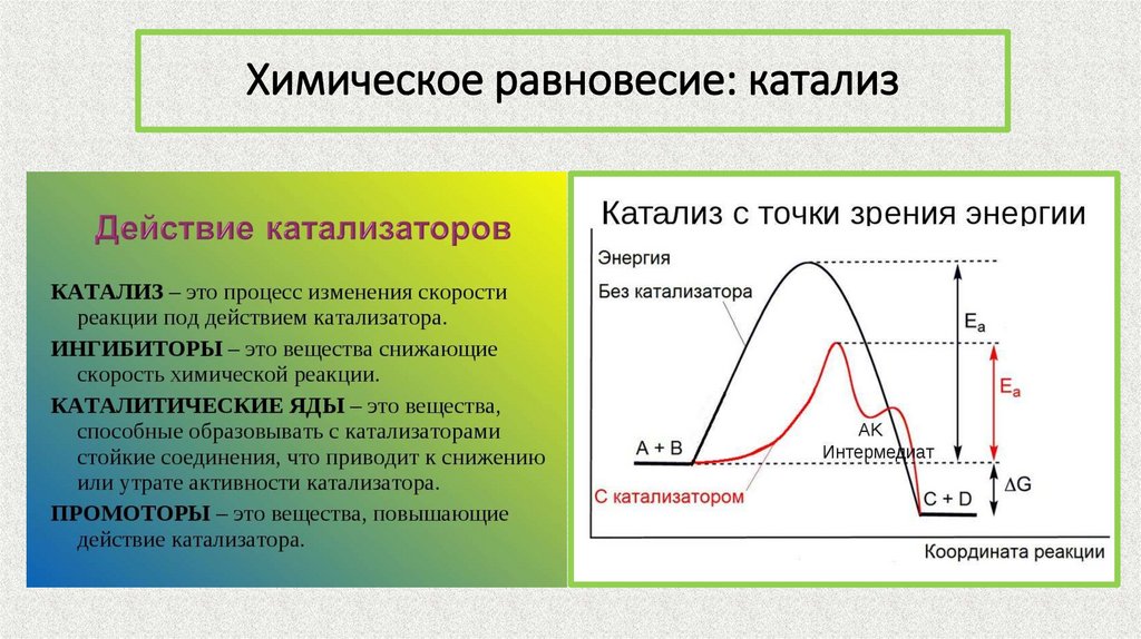 Химическое равновесие: катализ