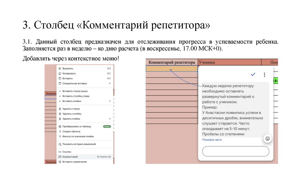 3. Столбец «Комментарий репетитора»