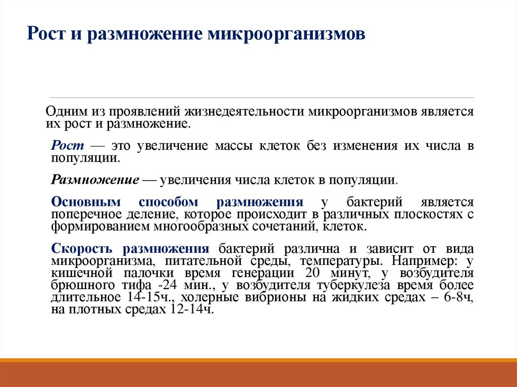 Рост и размножение микроорганизмов