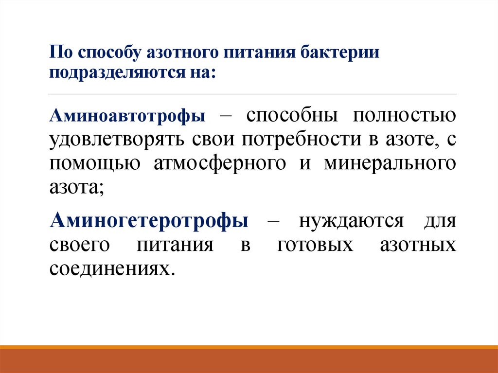 По способу азотного питания бактерии подразделяются на: