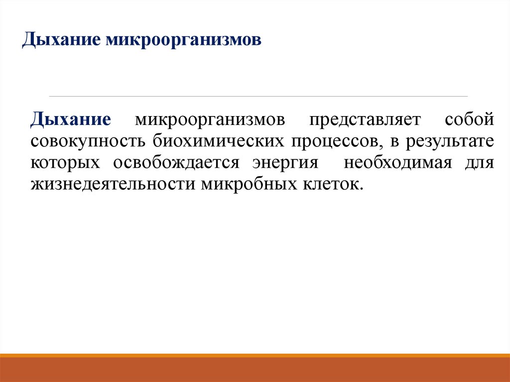 Дыхание микроорганизмов