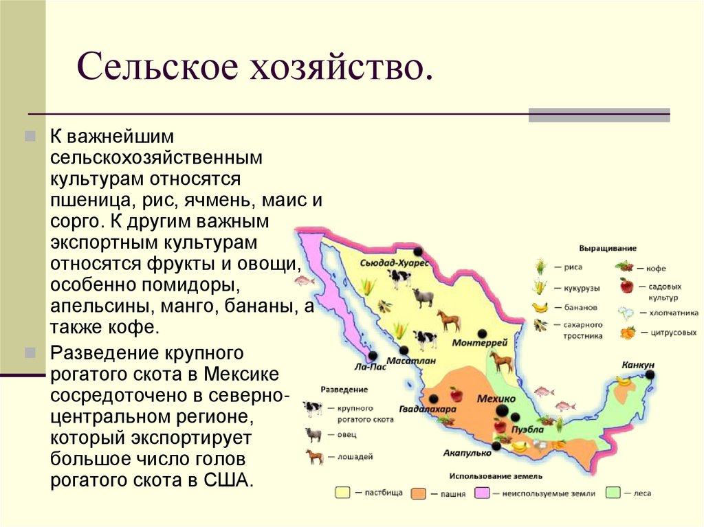 Сельское хозяйство.