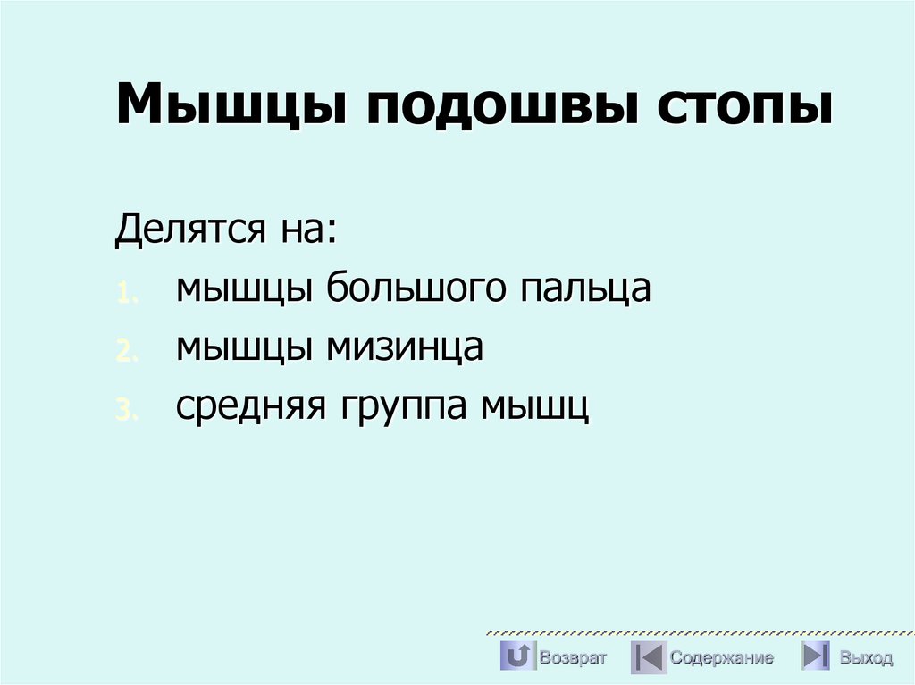 Мышцы подошвы стопы