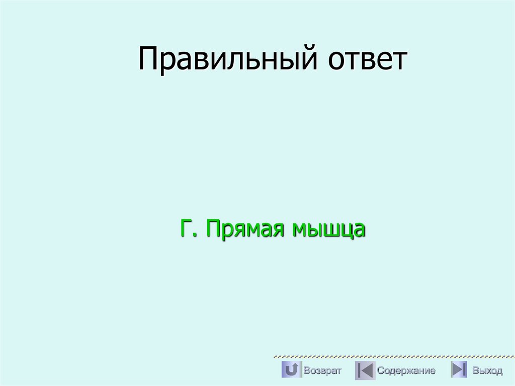 Правильный ответ