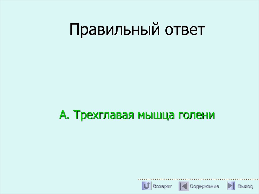 Правильный ответ
