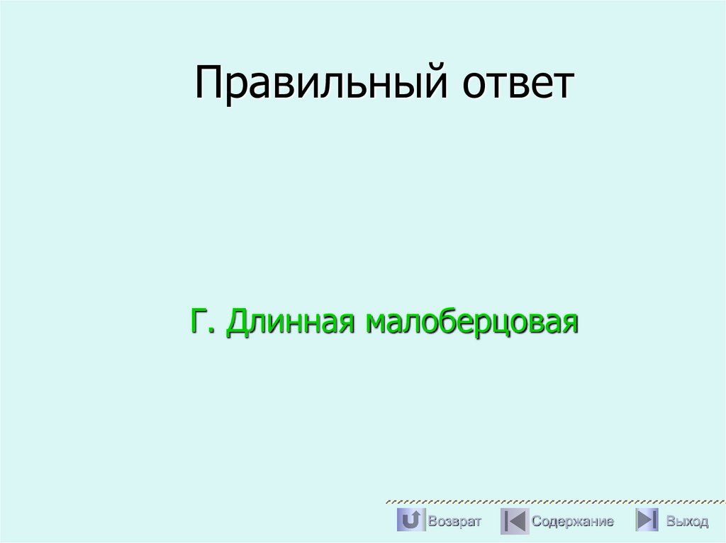 Правильный ответ