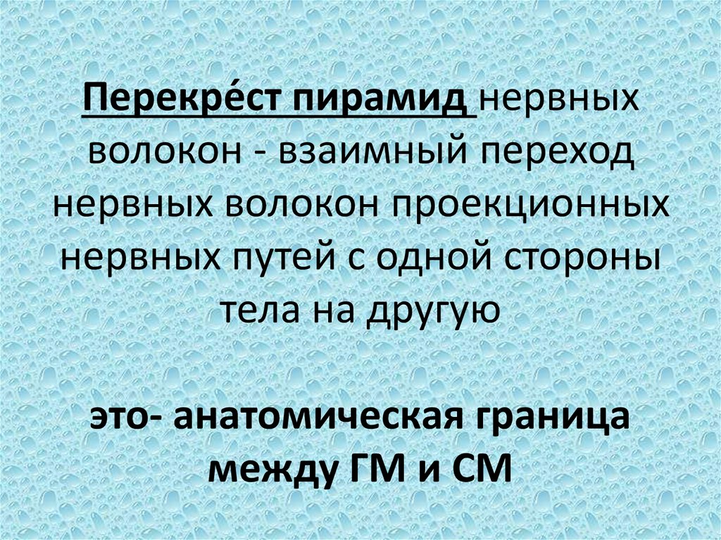 Перекре́ст пирамид нервных волокон - взаимный переход нервных волокон проекционных нервных путей с одной стороны тела на другую