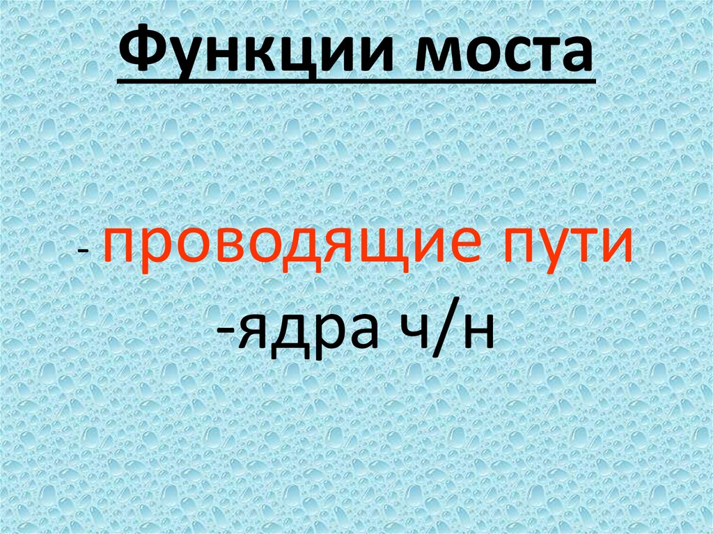 Функции моста - проводящие пути -ядра ч/н
