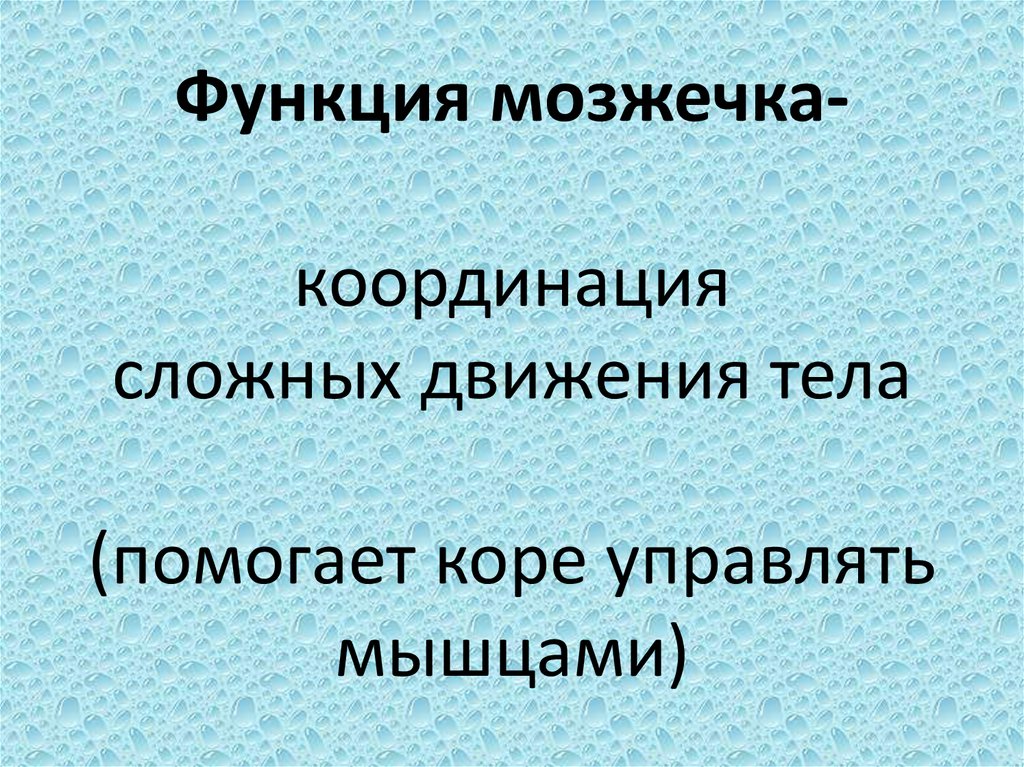 Функция мозжечка- координация сложных движения тела (помогает коре управлять мышцами)