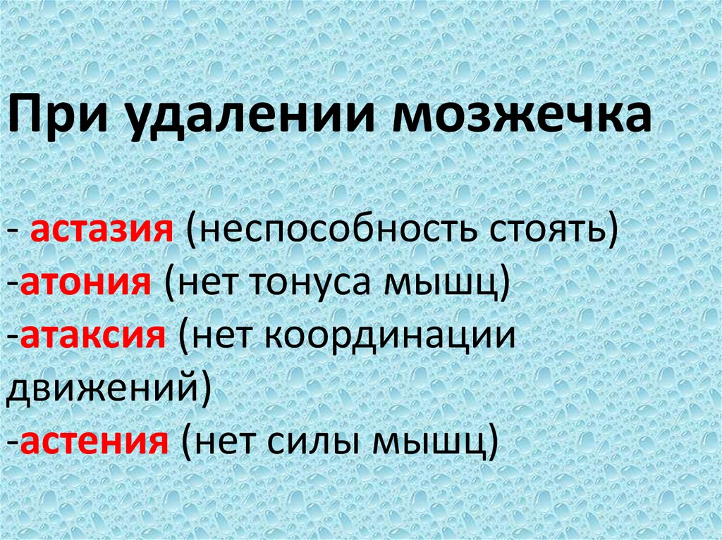 При удалении мозжечка - астазия (неспособность стоять) -атония (нет тонуса мышц) -атаксия (нет координации движений) -астения