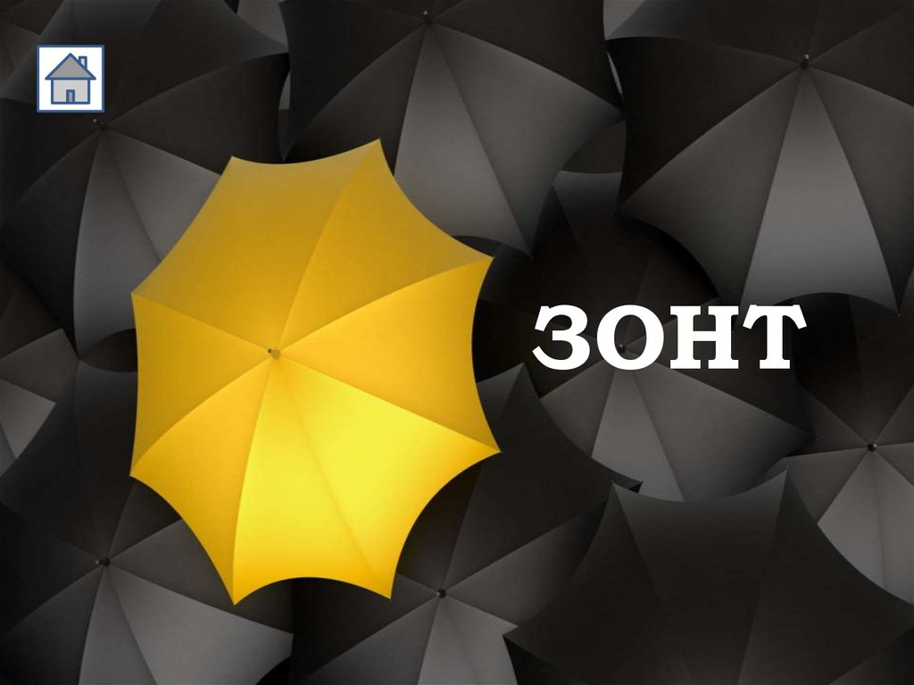 ЗОНТ