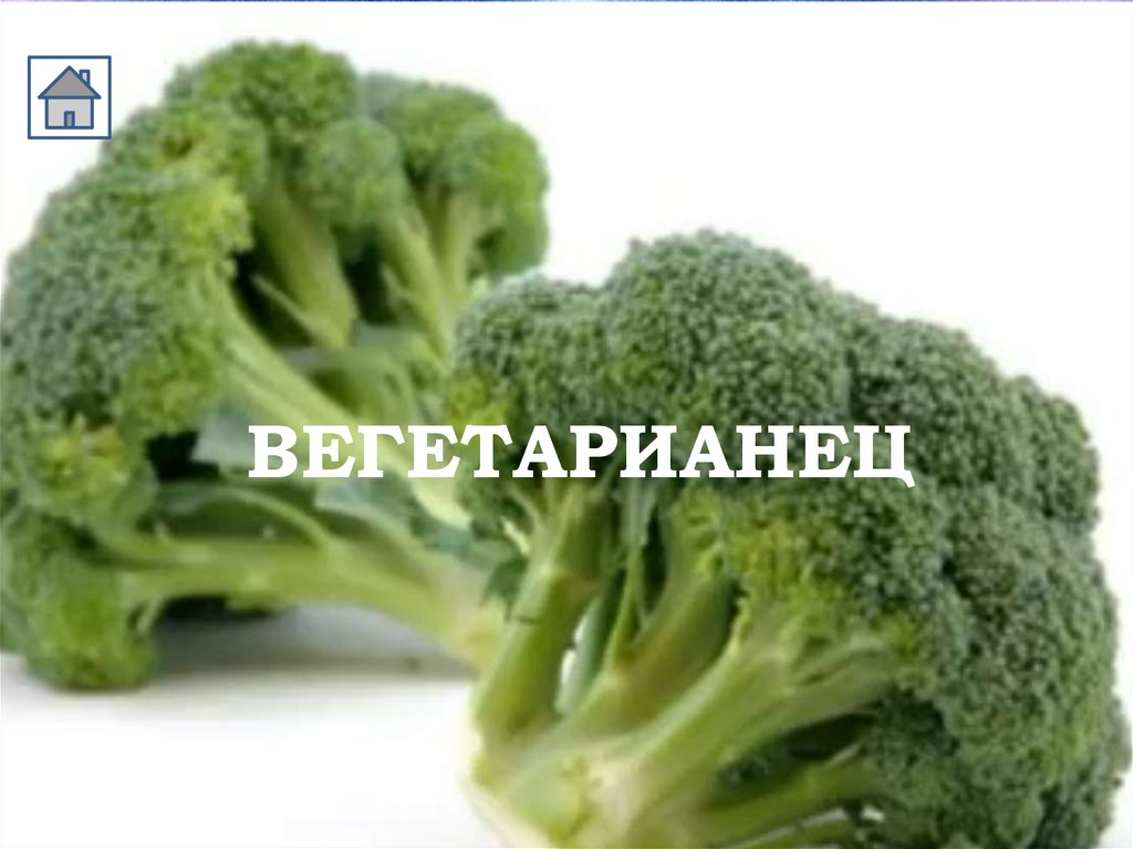 ВЕГЕТАРИАНЕЦ