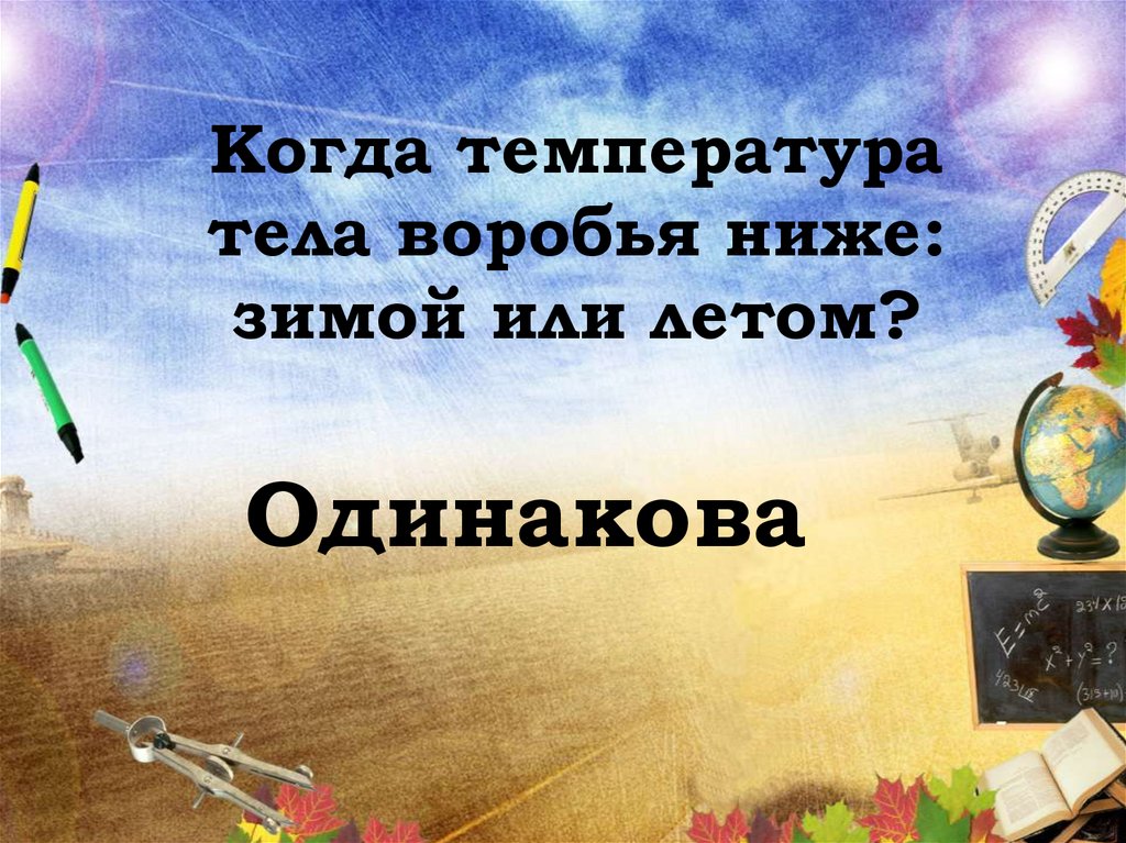 Когда температура тела воробья ниже: зимой или летом?