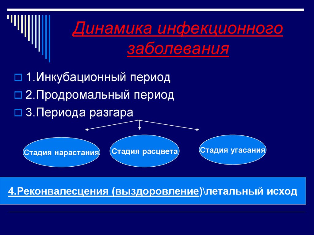 Динамика инфекционного заболевания