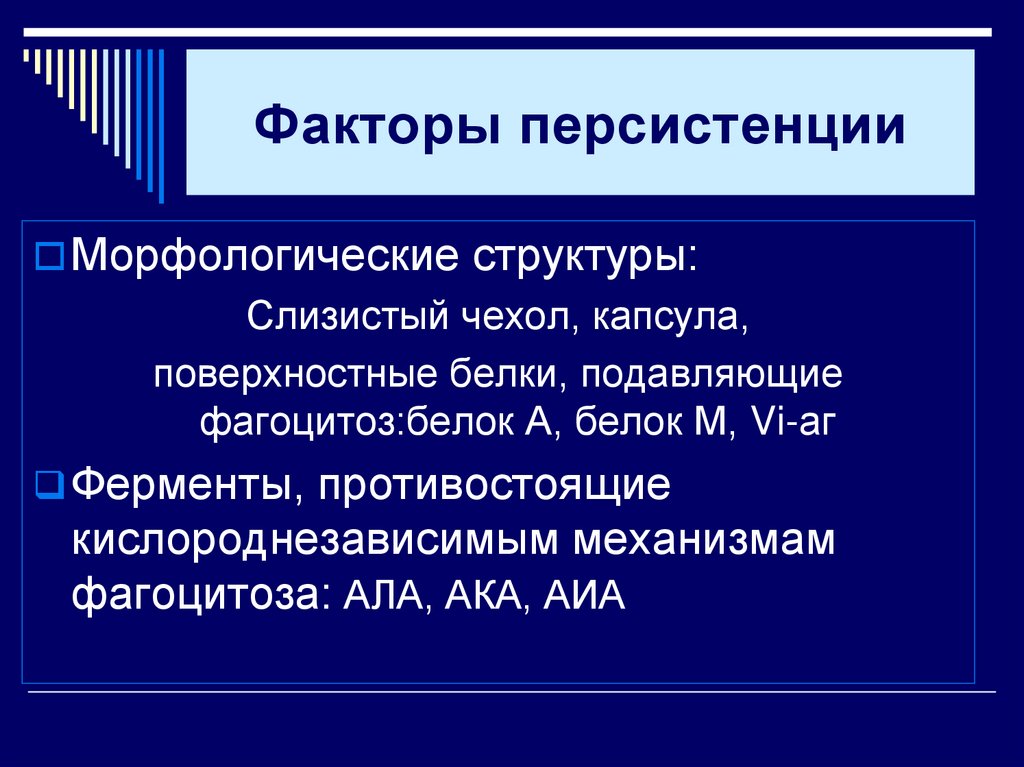 Факторы персистенции