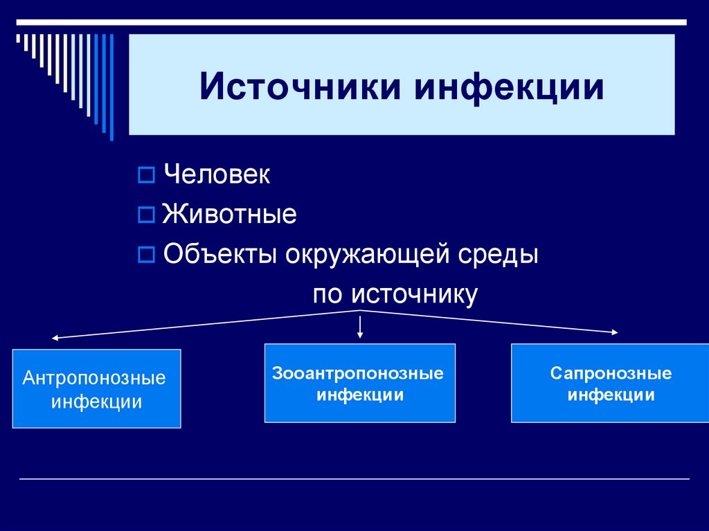 Источники инфекции