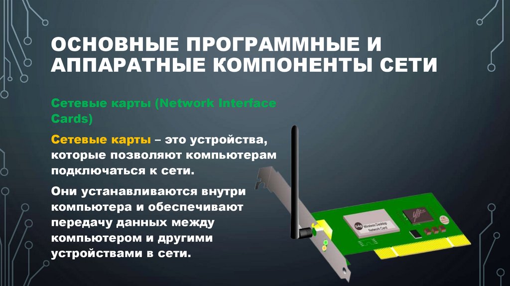 Основные программные и аппаратные компоненты сети