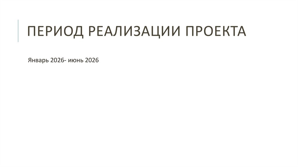 Период реализации проекта