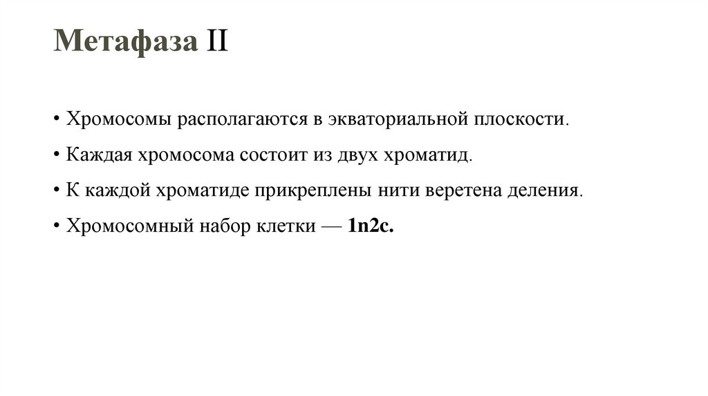 Метафаза II