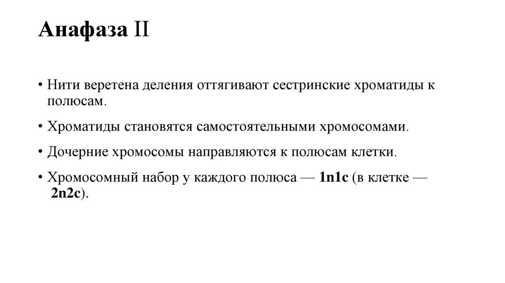 Анафаза II