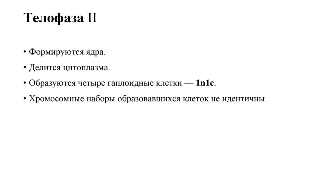 Телофаза II