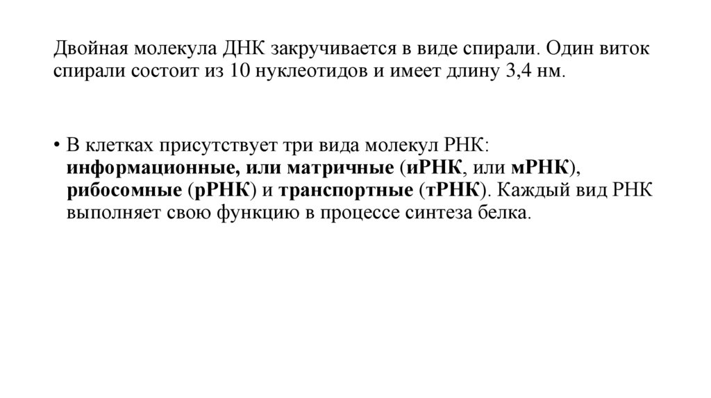 Двойная молекула ДНК закручивается в виде спирали. Один виток спирали состоит из 10 нуклеотидов и имеет длину 3,4 нм.