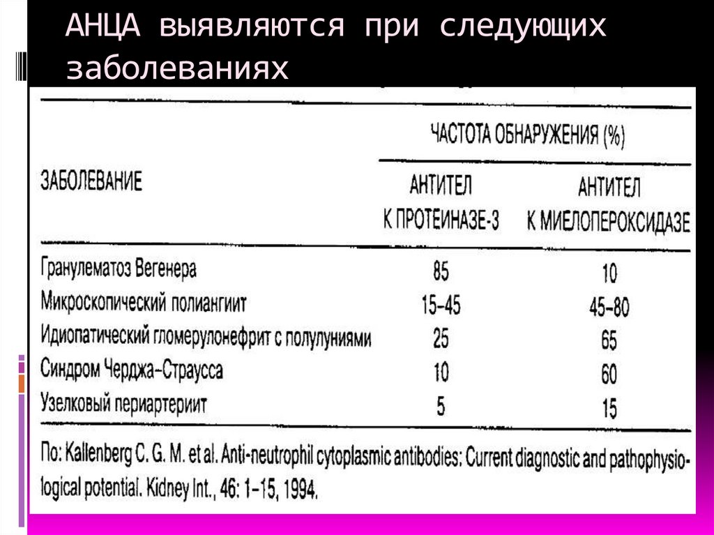 АНЦА выявляются при следующих заболеваниях