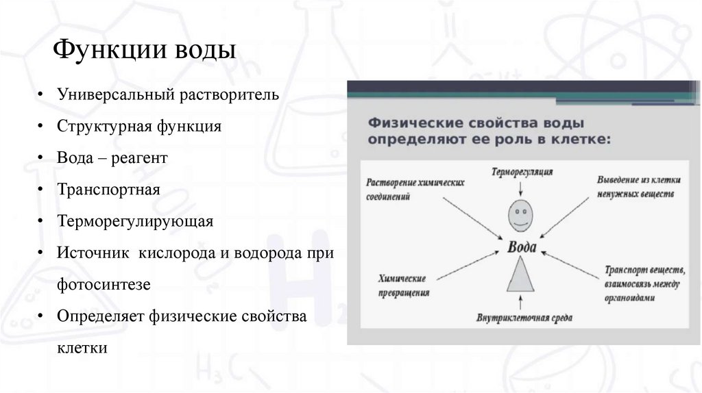 Функции воды