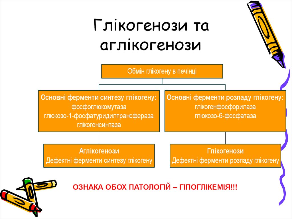 Регуляція розпаду глікогену