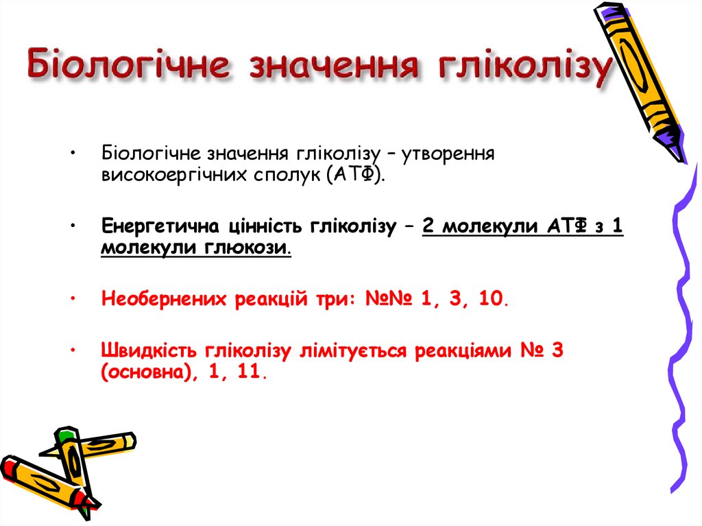 Стадії гліколізу