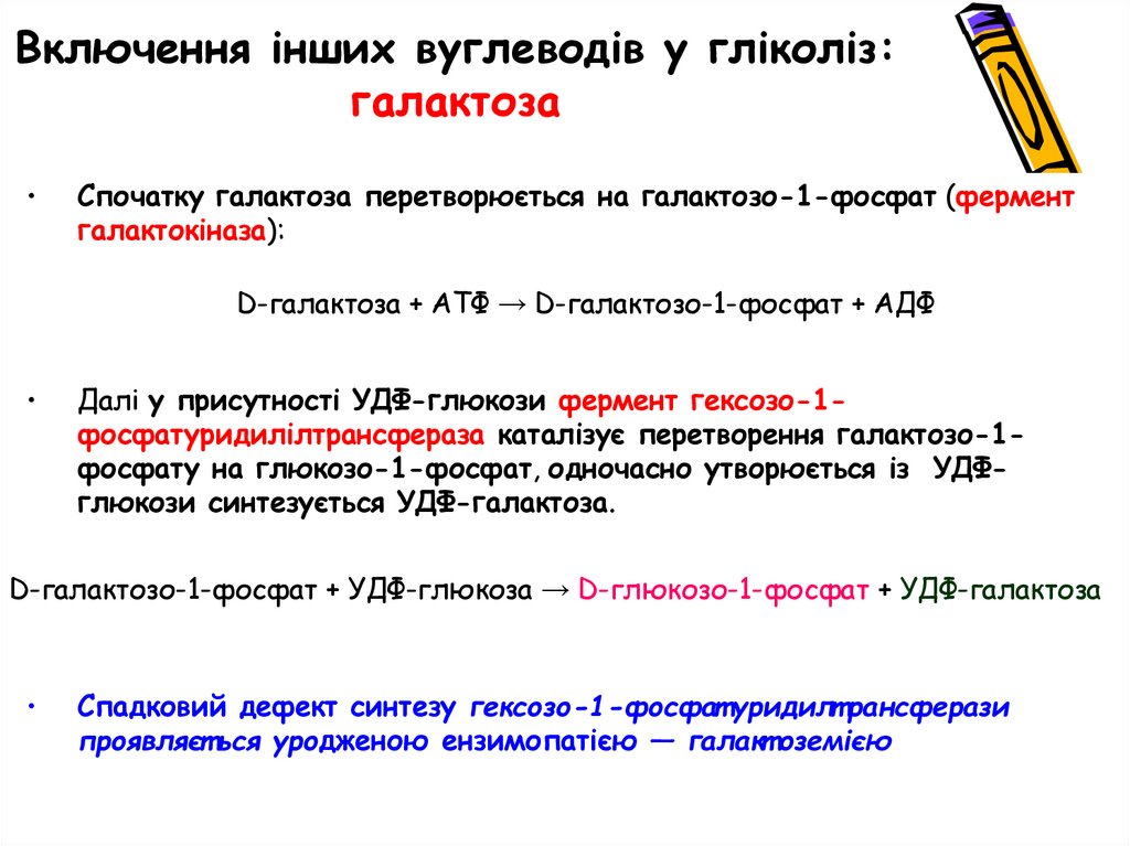 Генетичні дефекти обміну моноцукрів. Спадкова непереносимість фруктози та есенціальна фруктозурія