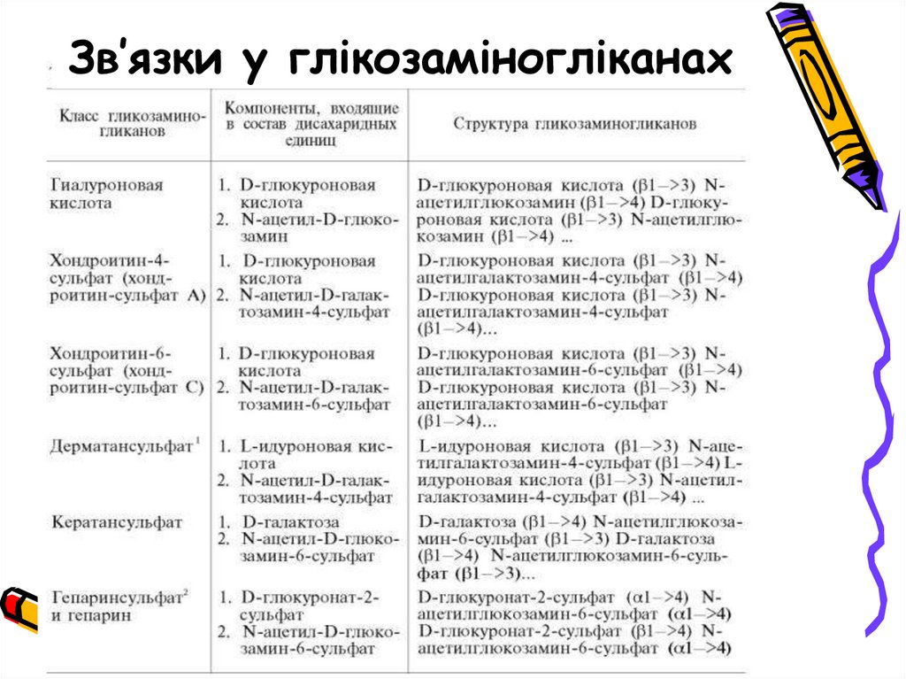 Мукополісахаридози: структура глікозаміногліканів
