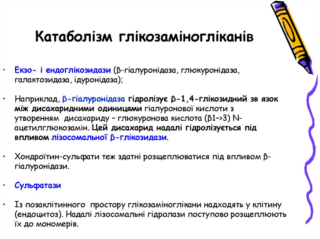 Мукополісахаридози: протеоглікани