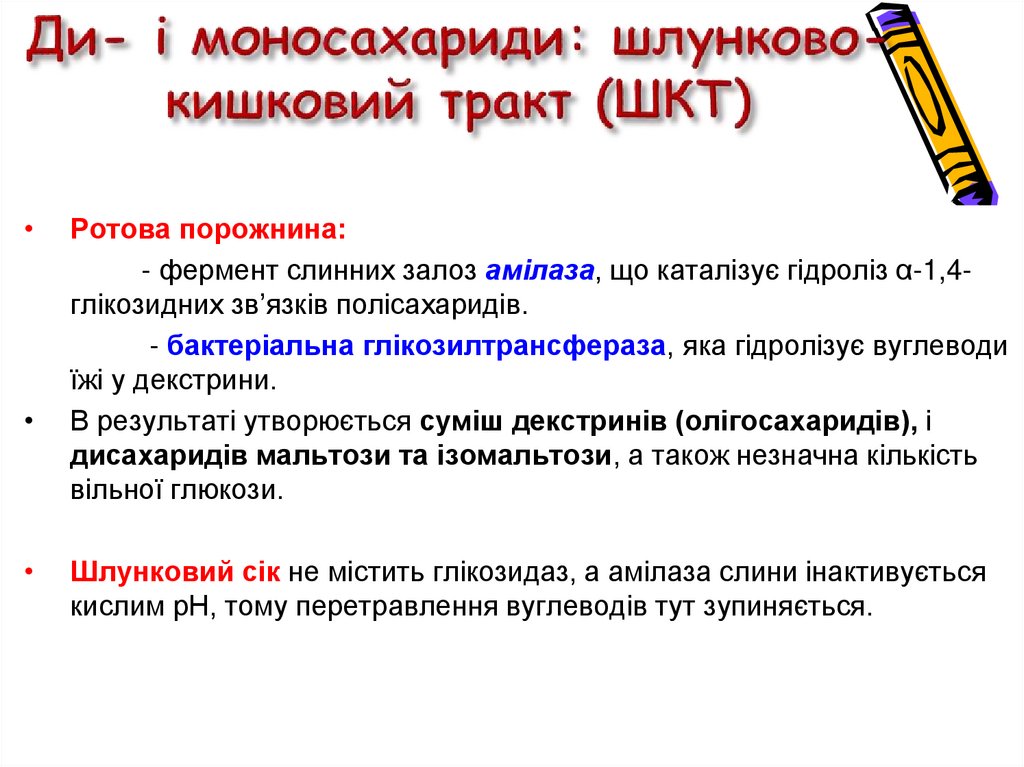 Ди- і моносахариди: шлунково-кишковий тракт (ШКТ)